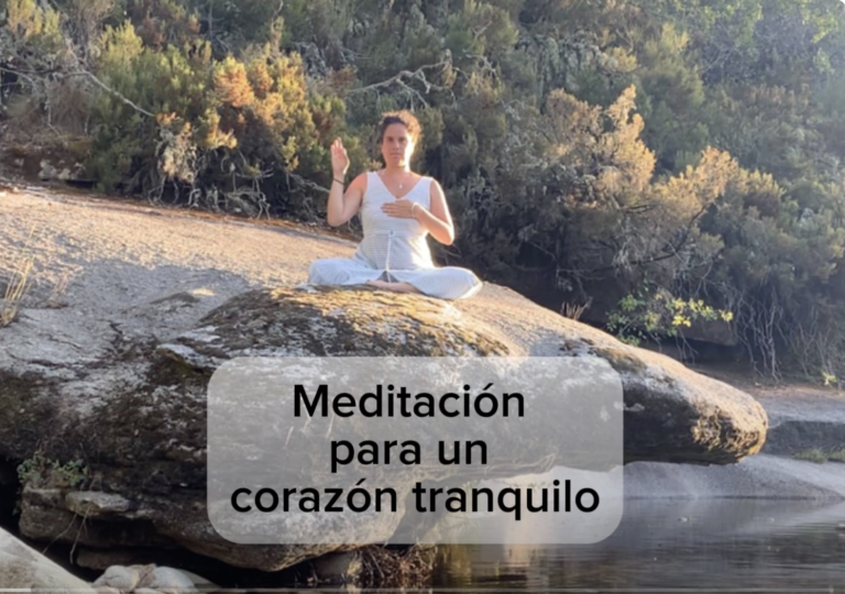 Lee más sobre el artículo Meditación para un corazón tranquilo